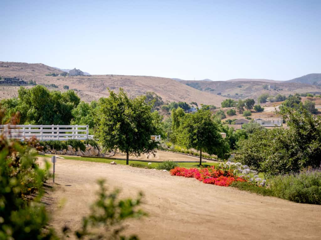 A dirt road leading to a park with trees and flowers.