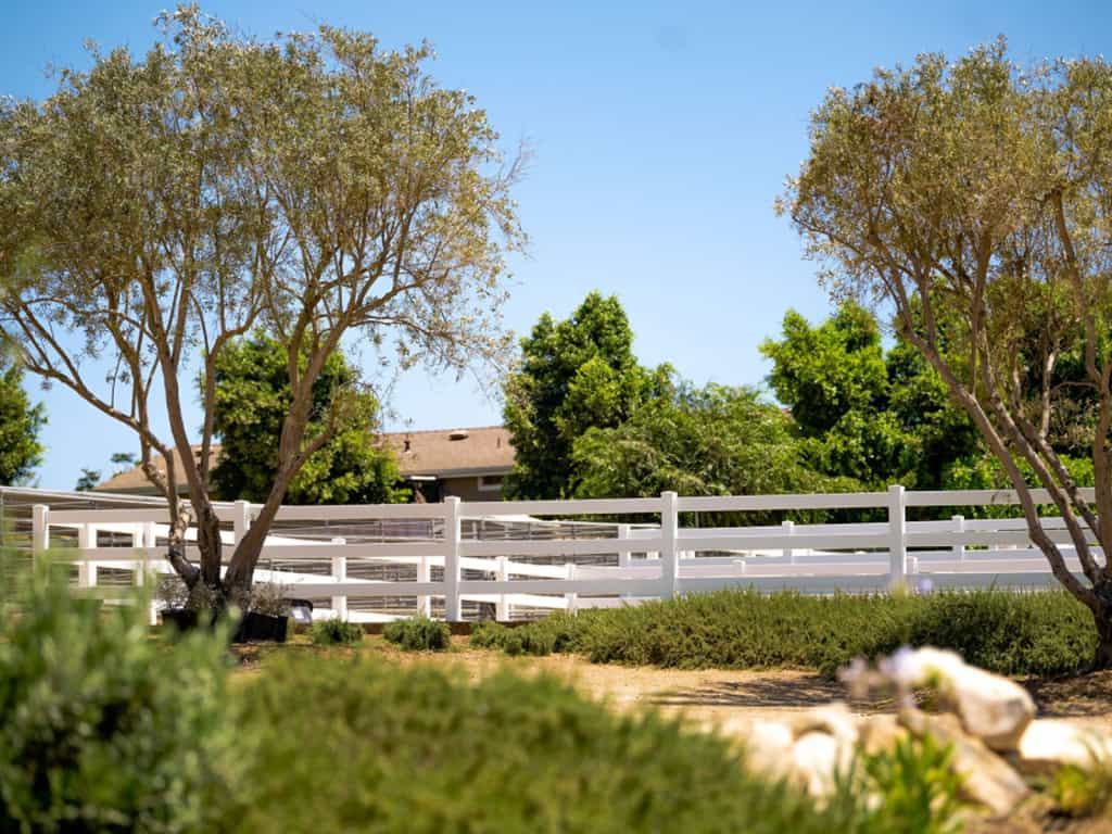 A white fence with a tree in front of it.