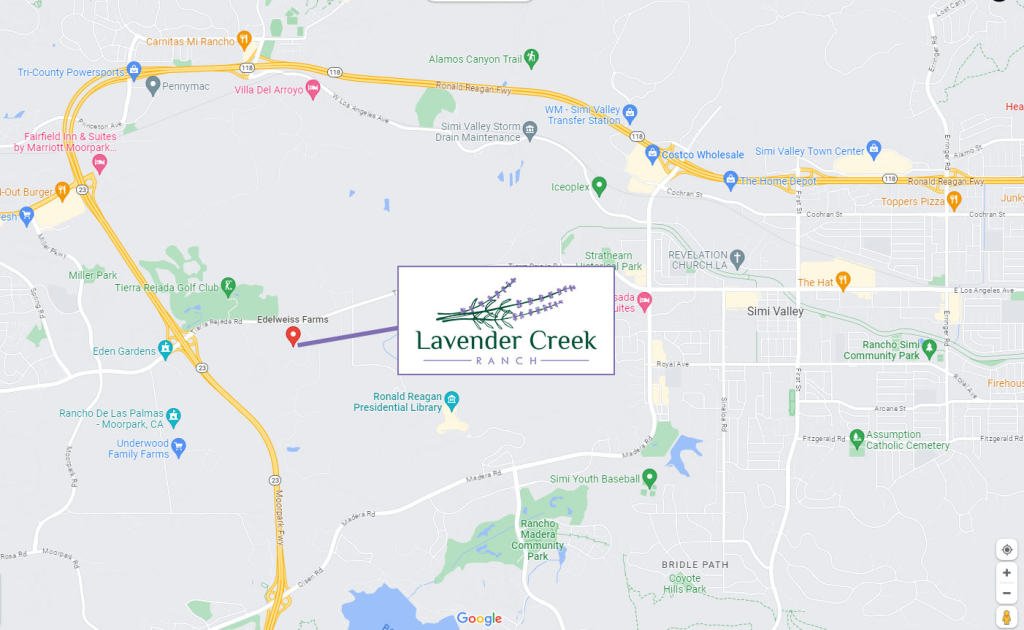 A map showing the location of lavender creek.