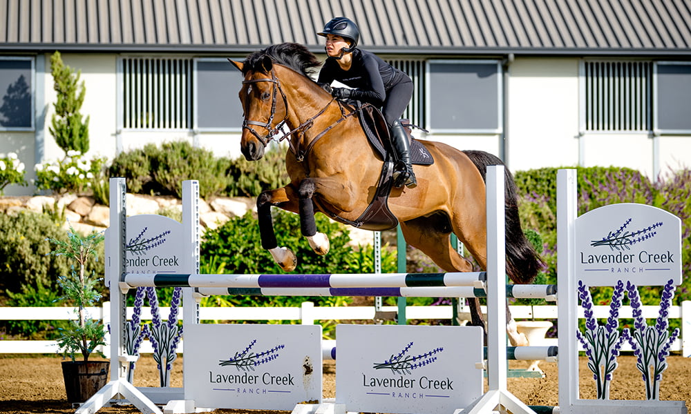 A woman riding a horse over an obstacle.